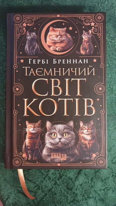 Таємничий світ котів