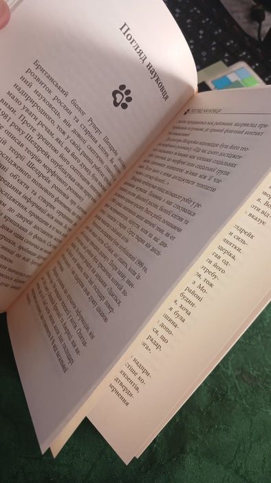 Таємничий світ котів
