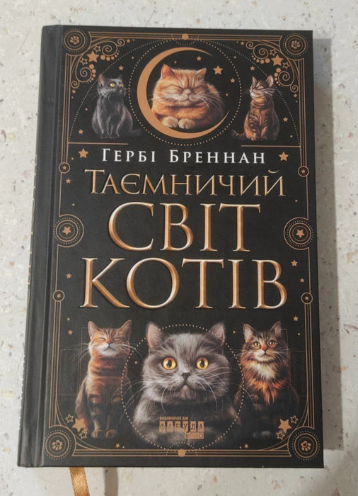 Таємничий світ котів