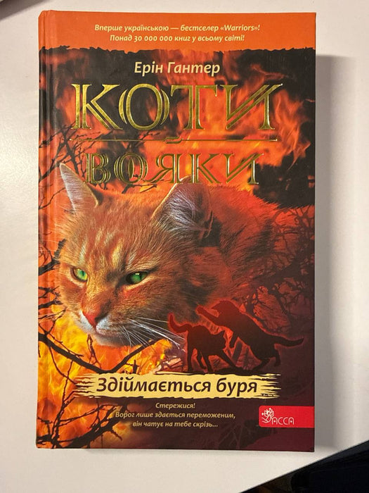 Коти-вояки. Пророцтва починаються. Книга 4. Здіймається буря