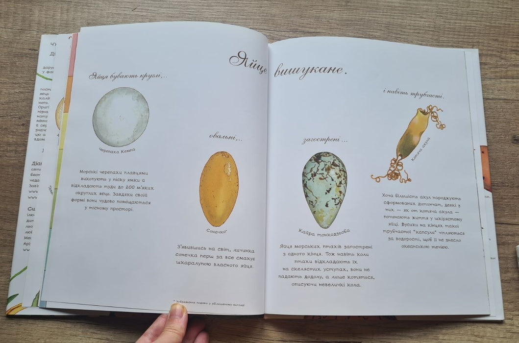 Серія книг: Яйце безмовне, Гніздо галасливе, Насіння сонливе
