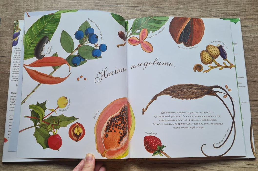 Серія книг: Яйце безмовне, Гніздо галасливе, Насіння сонливе