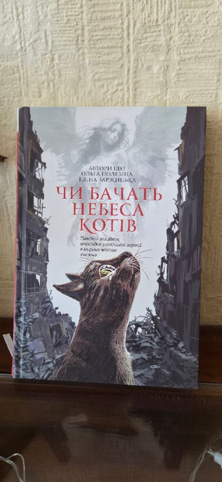 Чи бачать небеса котів