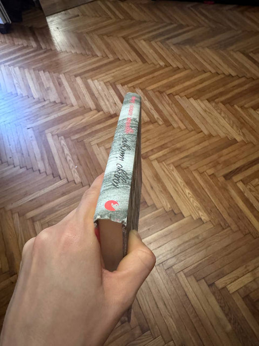 Художник хиткого світу