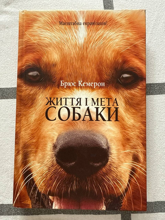 Життя і мета собаки