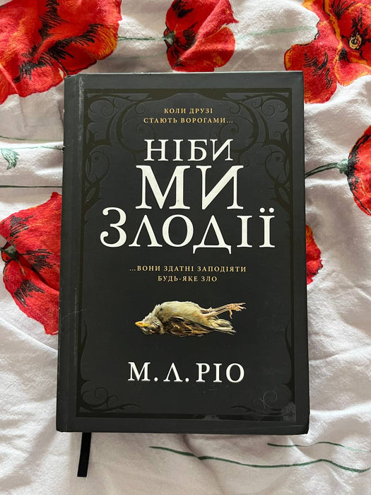 Ніби ми злодії