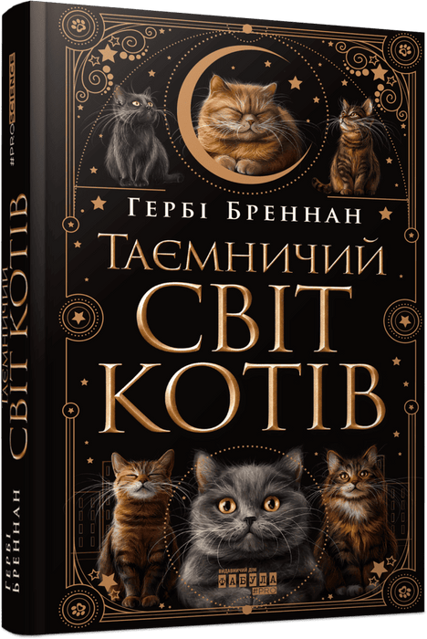 Таємничий світ котів