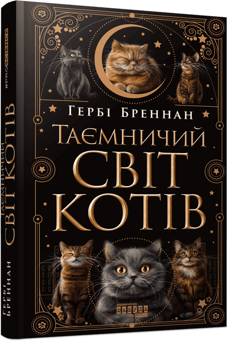 Таємничий світ котів