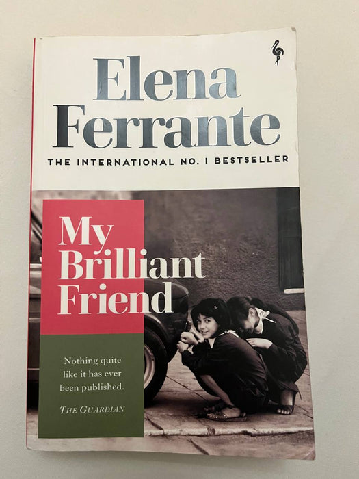 My brilliant friend