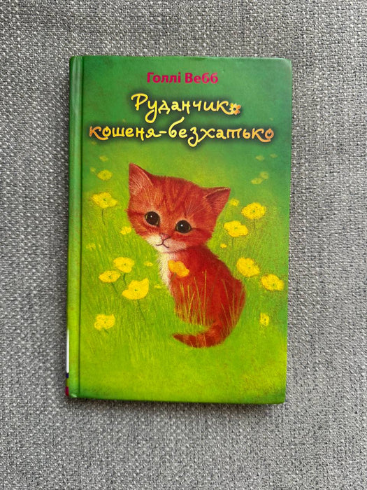 Руданчик — кошеня-безхатько