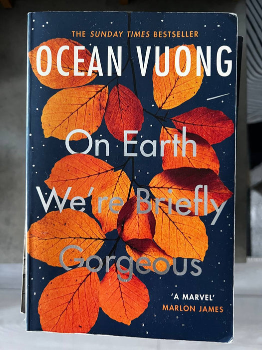 On Earth We're Briefly Gorgeous