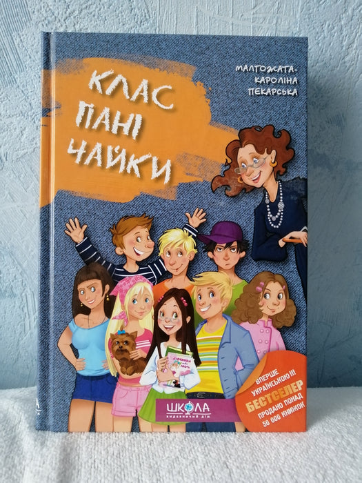 Клас пані Чайки