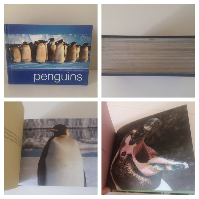 Penguins photobook