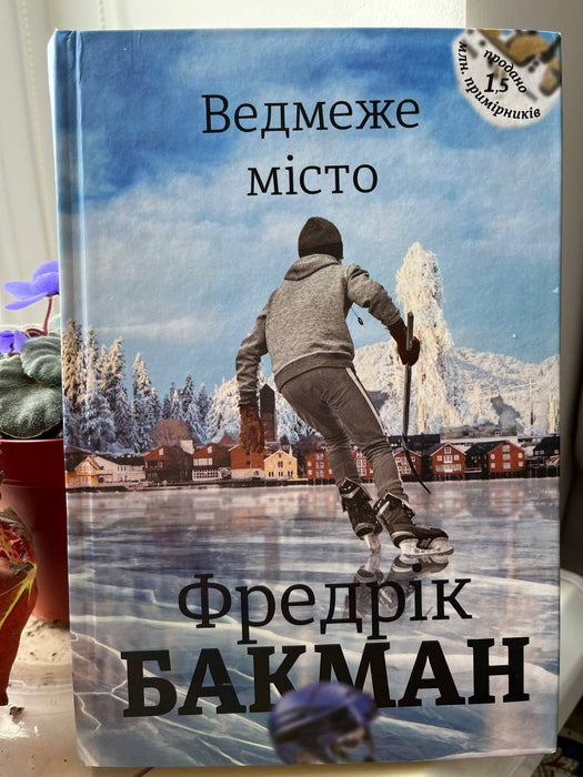 Ведмеже місто